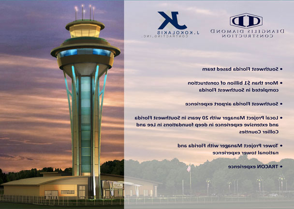 Deangelis Diamond LCD Cover