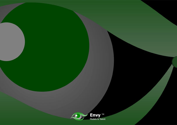 Envy Video Brochure