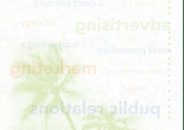 Priority Marketing LCD Cover